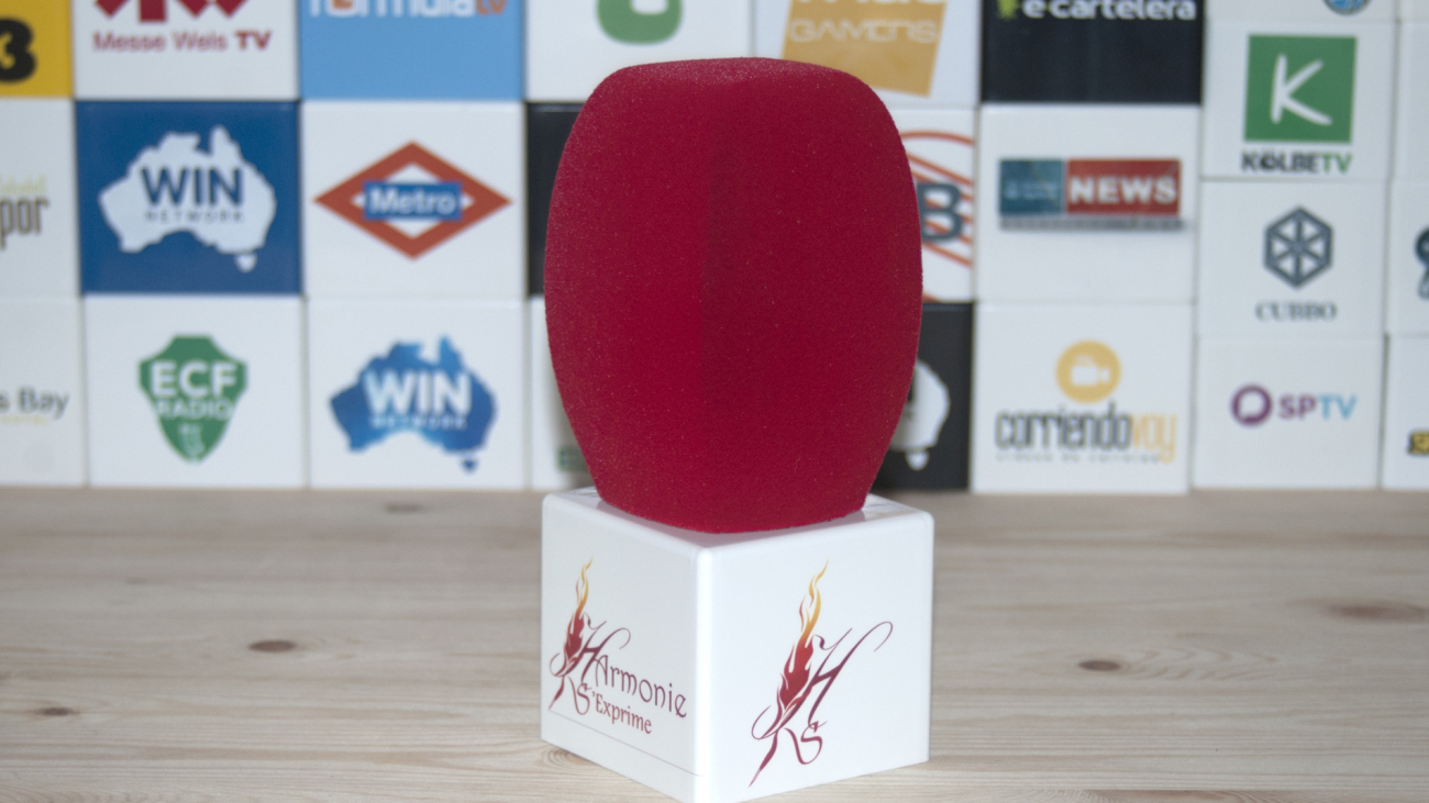 Harmonie microflag logo