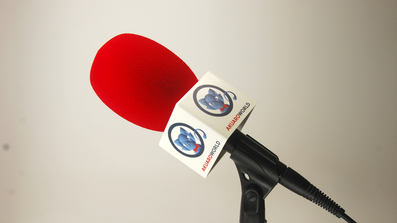 Micflag Microphone logo